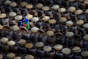 Salon.Photo Bronze Medal