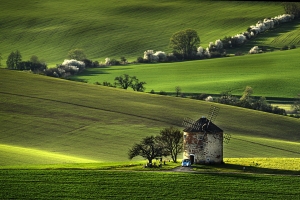 Salon.Photo Bronze Medal