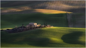 Salon.Photo Gold Medal