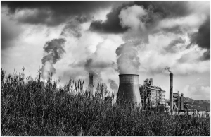 Salon.Photo Gold Medal