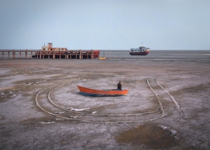 Salon.Photo Bronze Medal