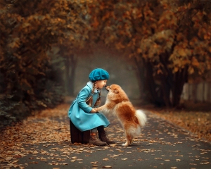 Salon.Photo Gold Medal